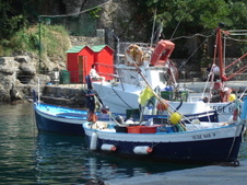Enlarge photo 13