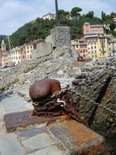 Enlarge photo 67