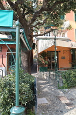 Enlarge photo 45