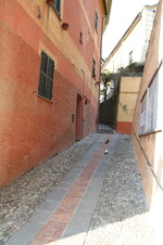 Enlarge photo 47