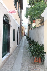 Enlarge photo 60