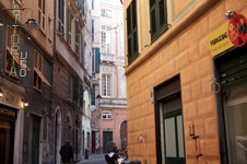 Enlarge photo 54