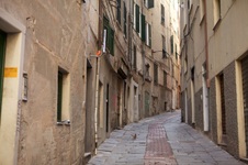 Enlarge photo 77
