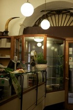 Enlarge photo 91