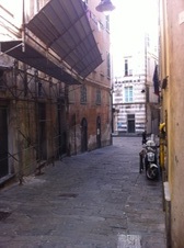 Enlarge photo 102