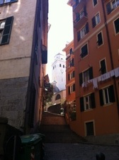 Enlarge photo 103