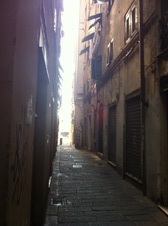 Enlarge photo 115