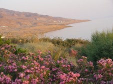 Enlarge photo 42