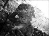 Enlarge photo 34