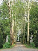 Enlarge photo 45