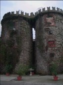 Enlarge photo 57
