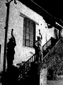 Enlarge photo 58