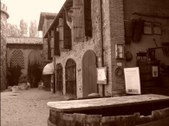 Enlarge photo 61