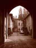 Enlarge photo 62