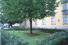 Enlarge photo 20