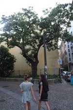 Enlarge photo 35