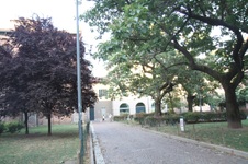 Enlarge photo 61