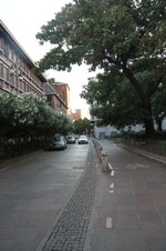 Enlarge photo 65
