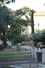 Enlarge photo 68