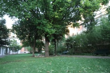Enlarge photo 83