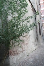 Enlarge photo 86