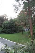 Enlarge photo 88