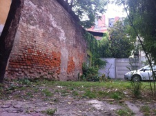 Enlarge photo 86