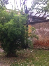 Enlarge photo 83