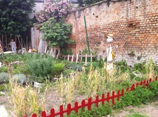 Enlarge photo 75