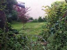 Enlarge photo 54