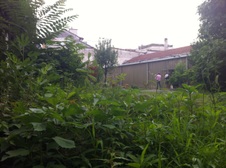 Enlarge photo 51