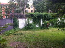 Enlarge photo 50