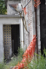 Enlarge photo 43