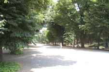 Enlarge photo 59