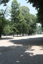 Enlarge photo 58