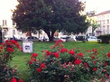 Enlarge photo 74
