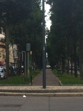 Enlarge photo 70