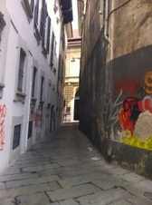 Enlarge photo 72