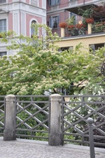Enlarge photo 34