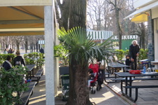 Enlarge photo 26