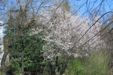 Enlarge photo 42
