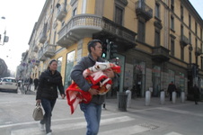 Enlarge photo 164