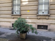 Enlarge photo 11