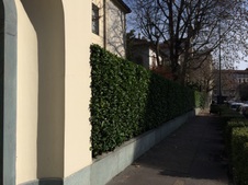 Enlarge photo 20