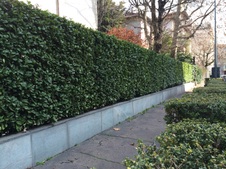 Enlarge photo 21