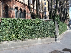 Enlarge photo 42