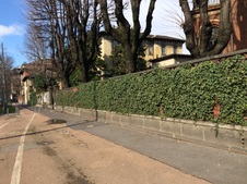 Enlarge photo 43