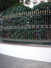 Marella 4