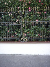 Enlarge photo 4