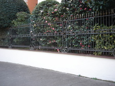 Enlarge photo 5